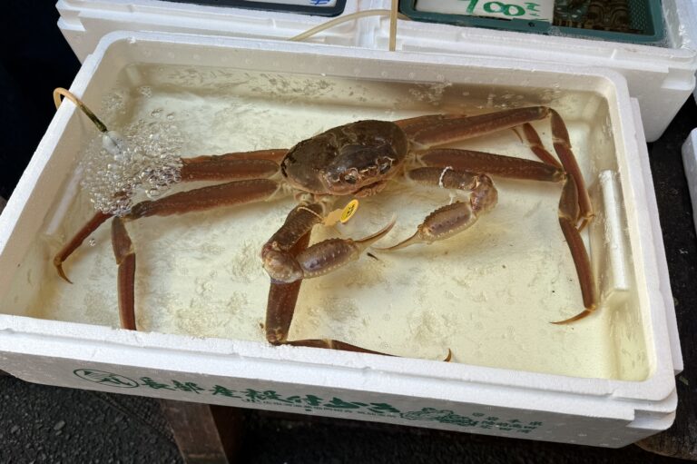 Tsukiji-Markt – 築地場外市場