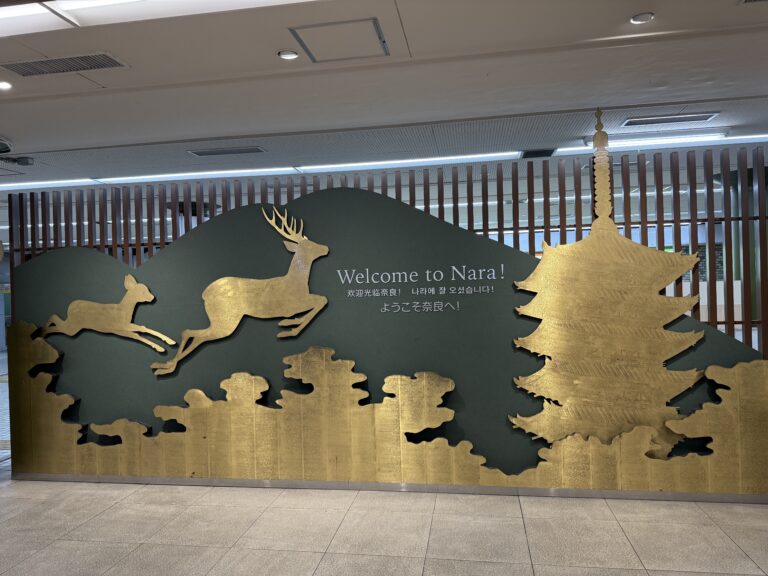 Oh my deer! – Nara-Park – 奈良公園